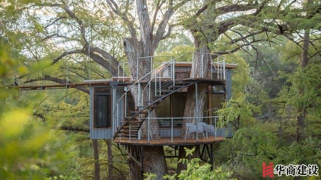 你敢住嗎，德克薩斯州中部“樹屋酒店”