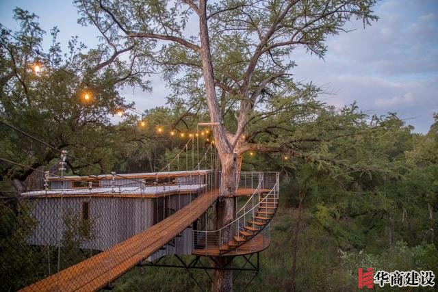 你敢住嗎，德克薩斯州中部“樹屋酒店”