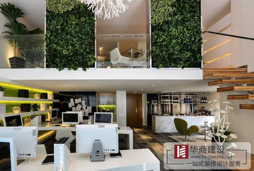 辦公室裝修中綠植是不可或缺的！為什么呢？
